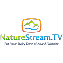 Телеканал NatureStream ТВ онлайн